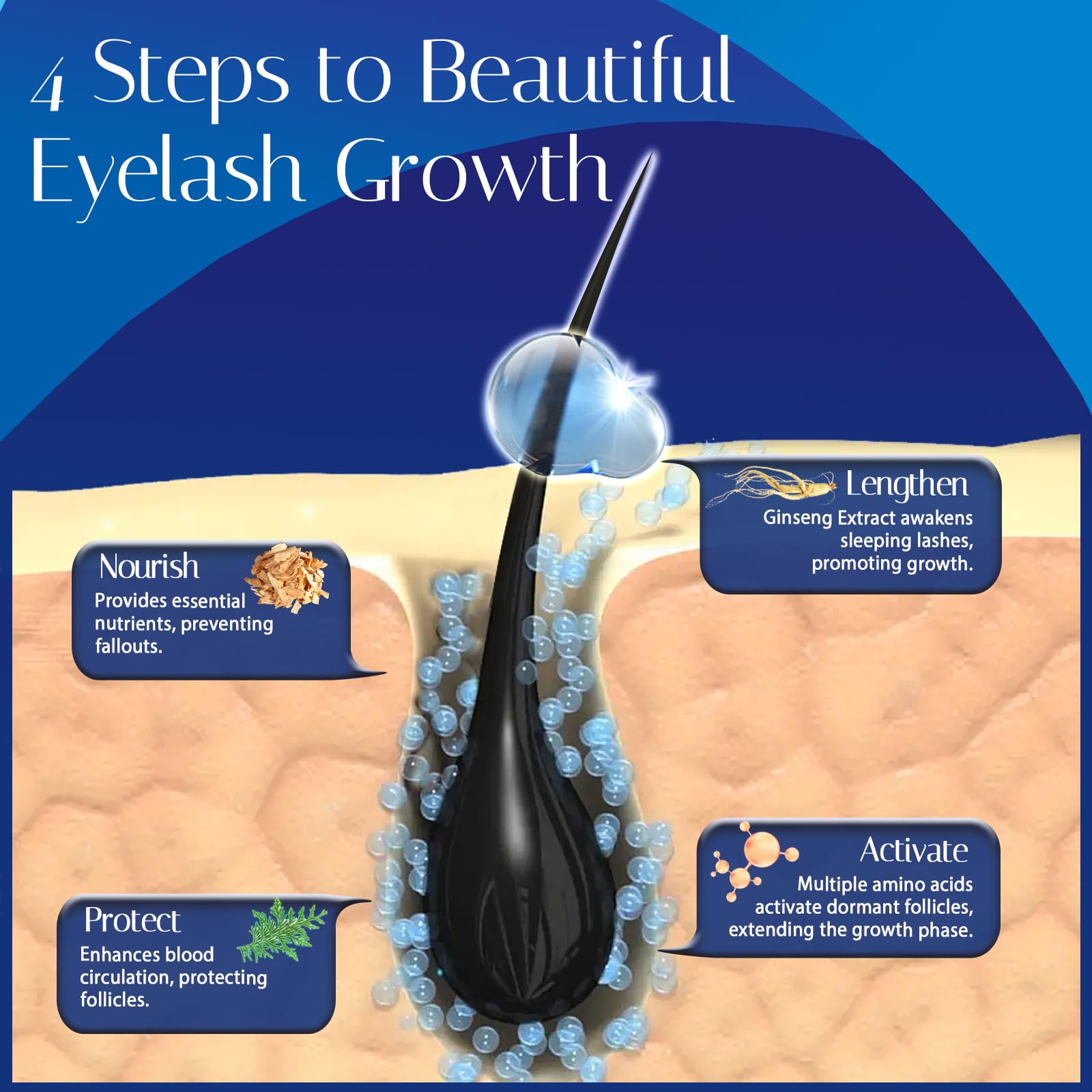 Wewell lash care before-after – visual proof of possible thickness and length improvements.