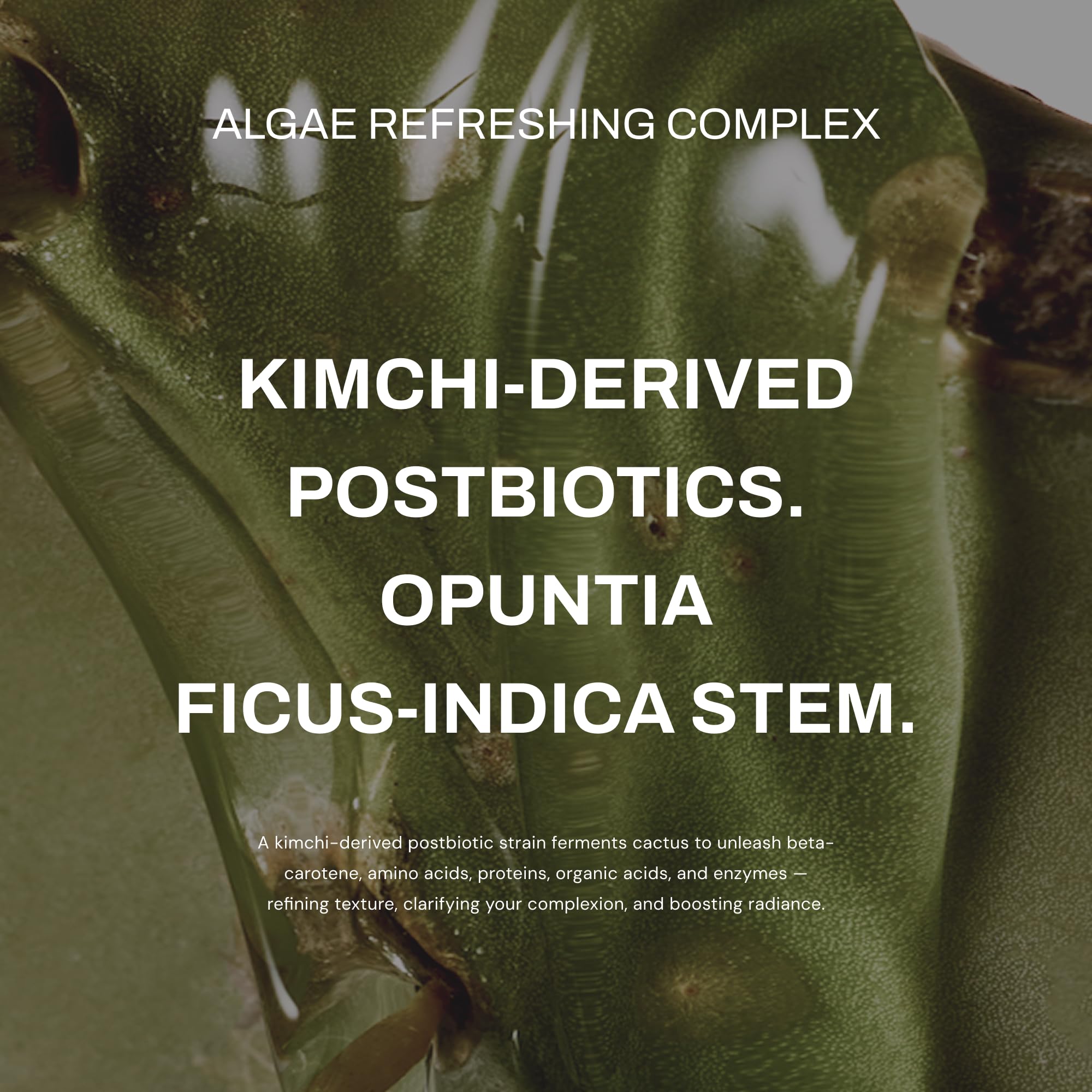 Whamisa recyclable packaging communicates eco-conscious brand commitment.