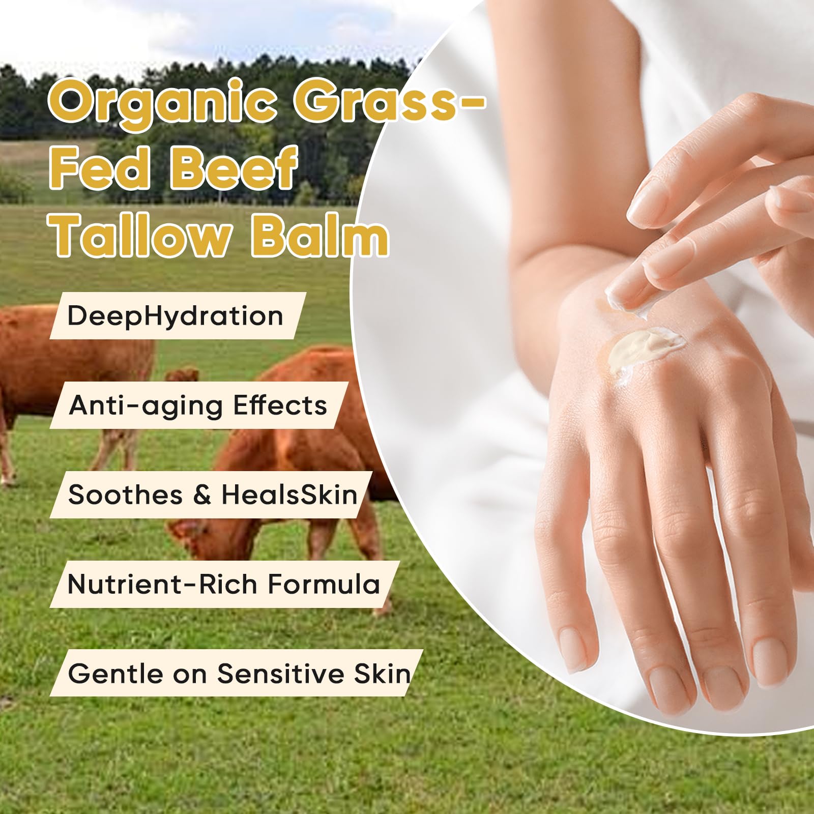 WNOHIQ Noluria Beef Tallow olive oil drizzle captures nourishing oil blend for daily moisture.