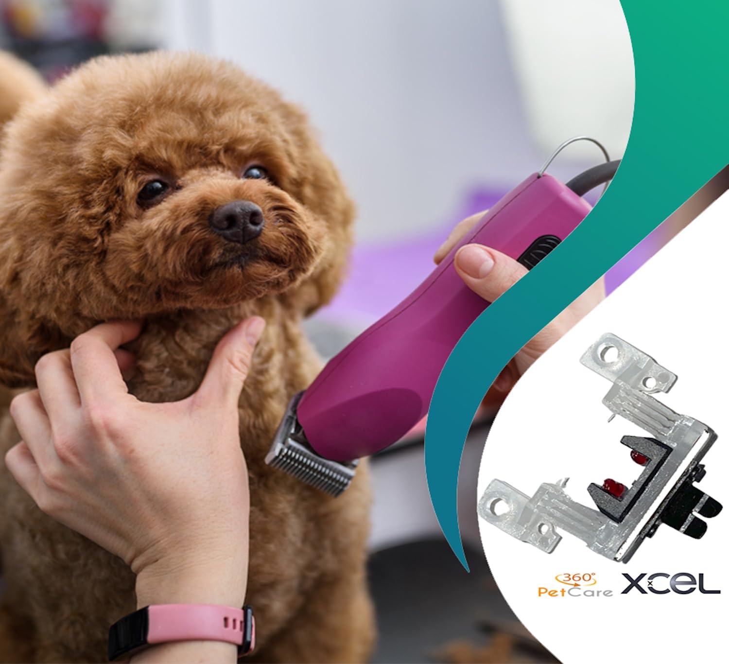 XCEL compatibility chart image shows AG and BG series support for versatile grooming.