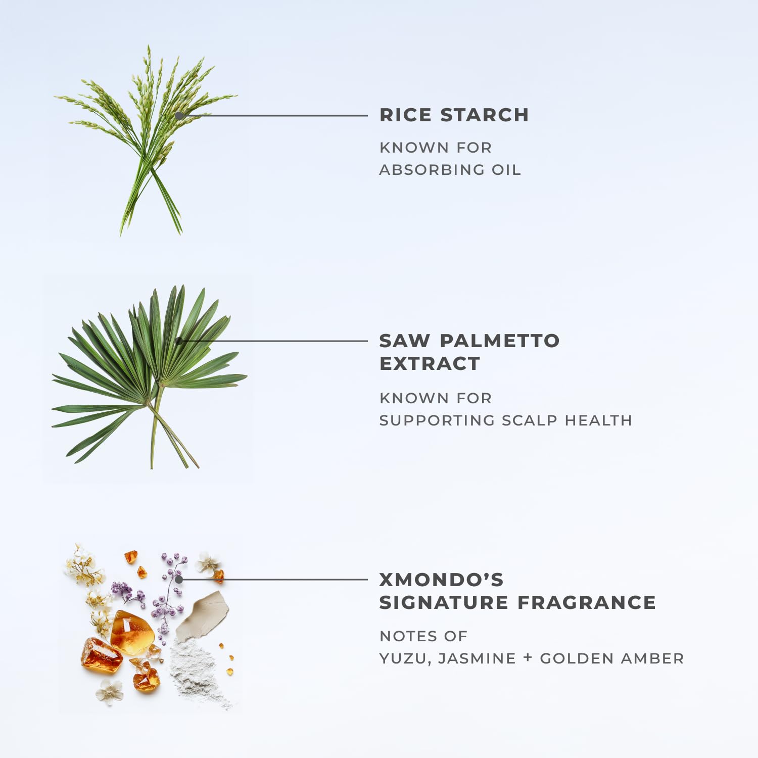 XMONDO Hair BOOST X Dry Shampoo signature fragrance note features yuzu, jasmine, amber.