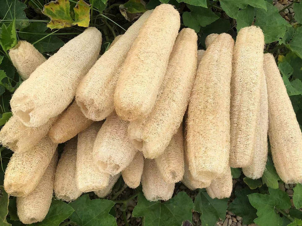 YEMTAL loofah sponge used for pet bath time fun