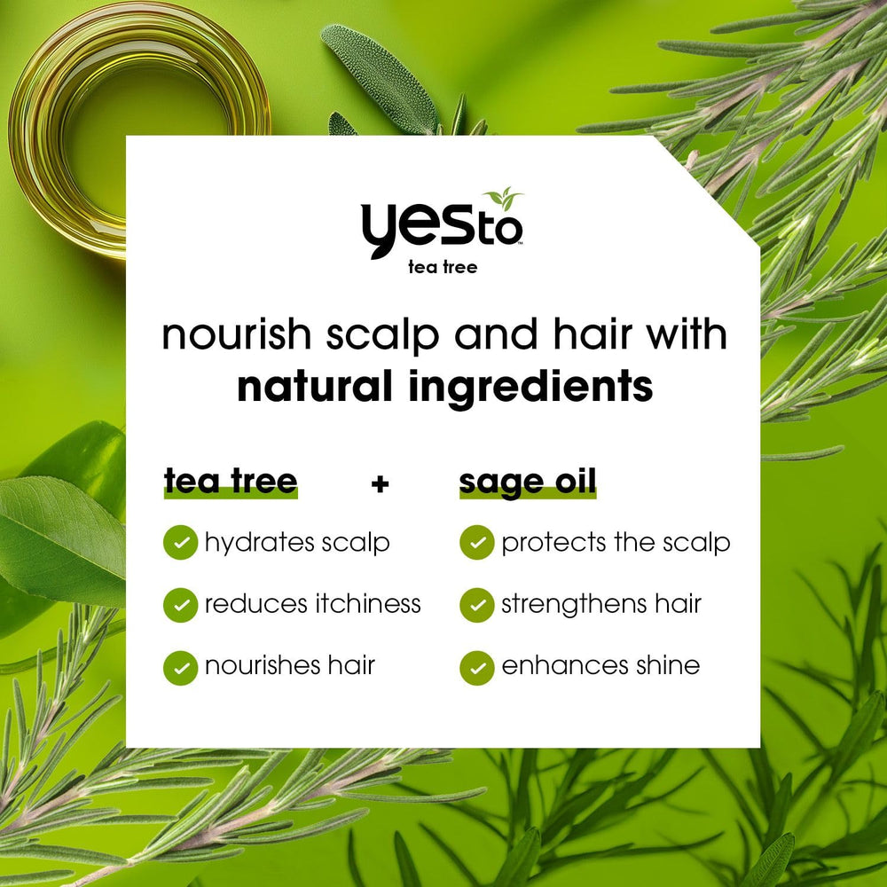 Yes To Tea Tree & Sage Shampoo ingredients tea tree oil highlight for cleansing