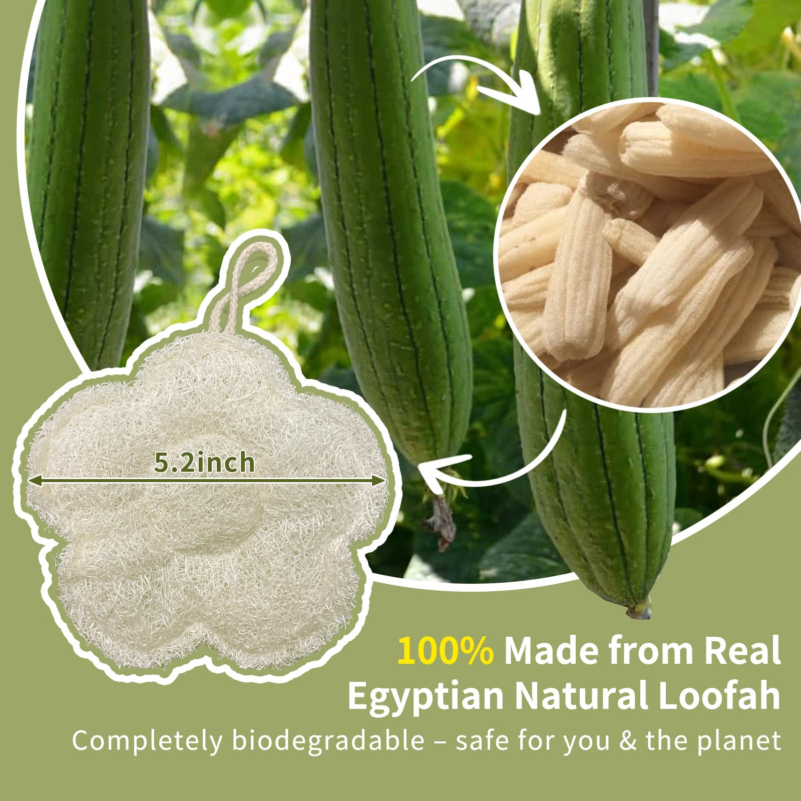 YOTDHUO eco-friendly loofah biodegrades naturally after use.
