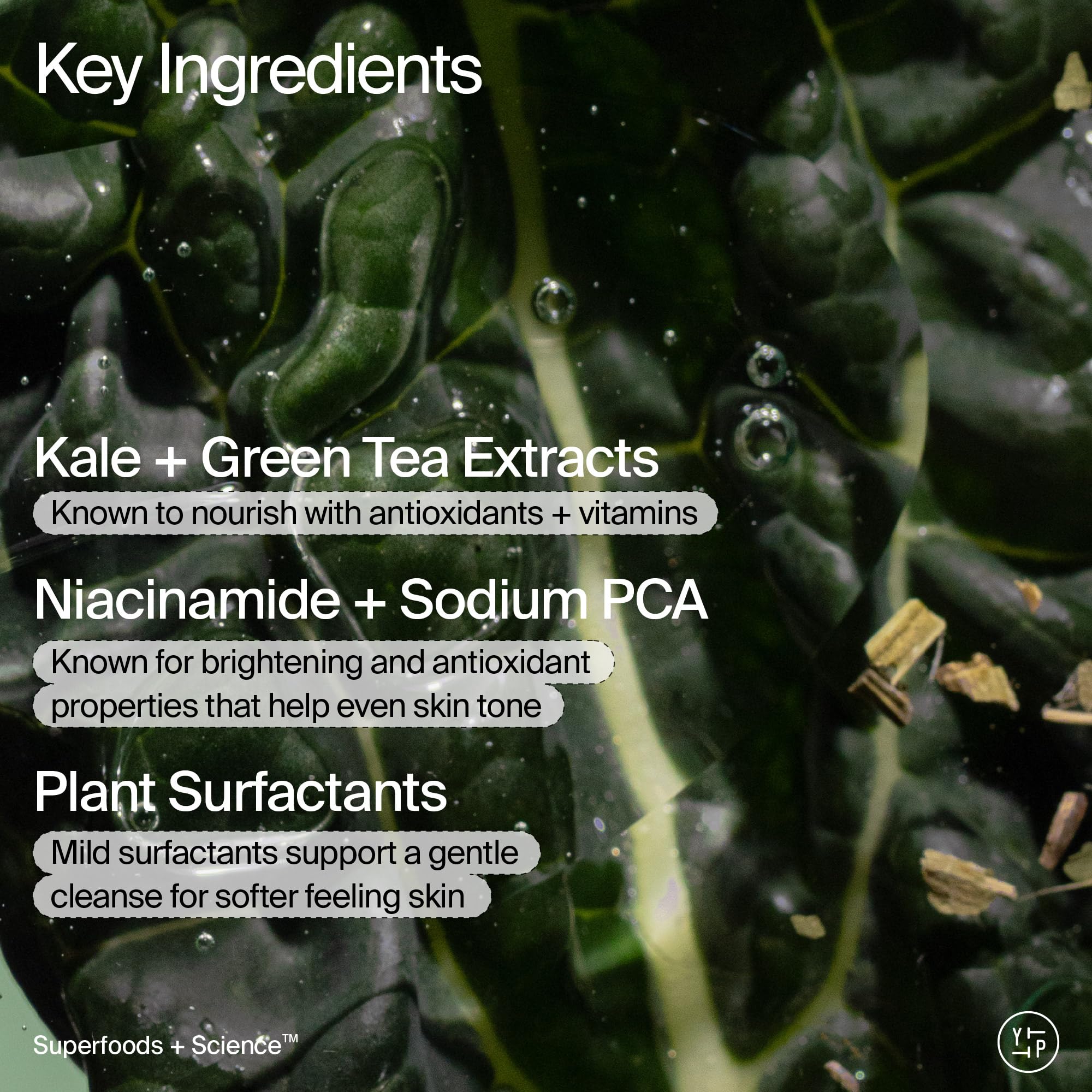 Youth To The People body wash kale-leaves-closeup emphasizes natural botanicals nourishing the skin