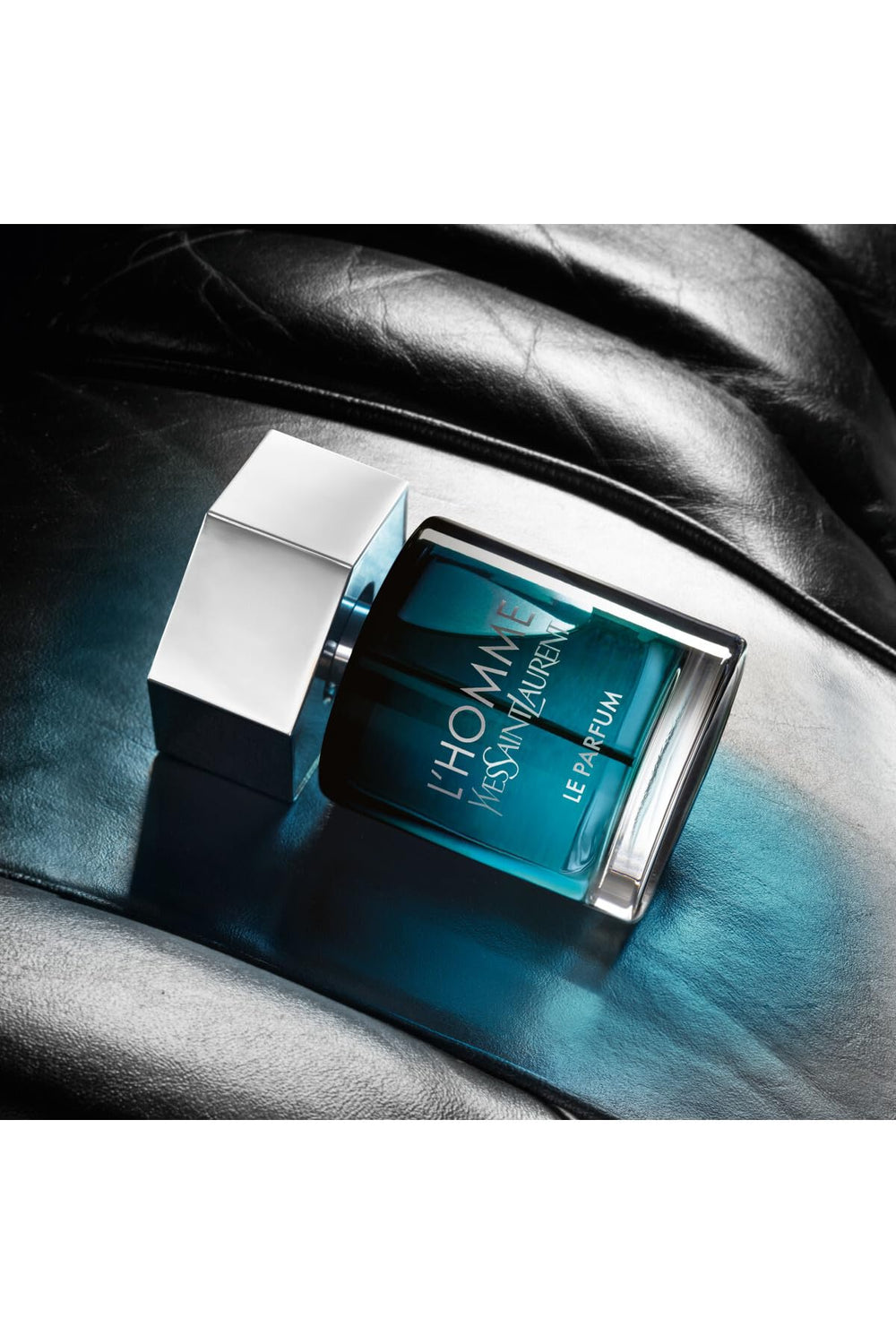 Yves Saint Laurent L'Homme Le Parfum note graphic highlights cardamom and amber accord