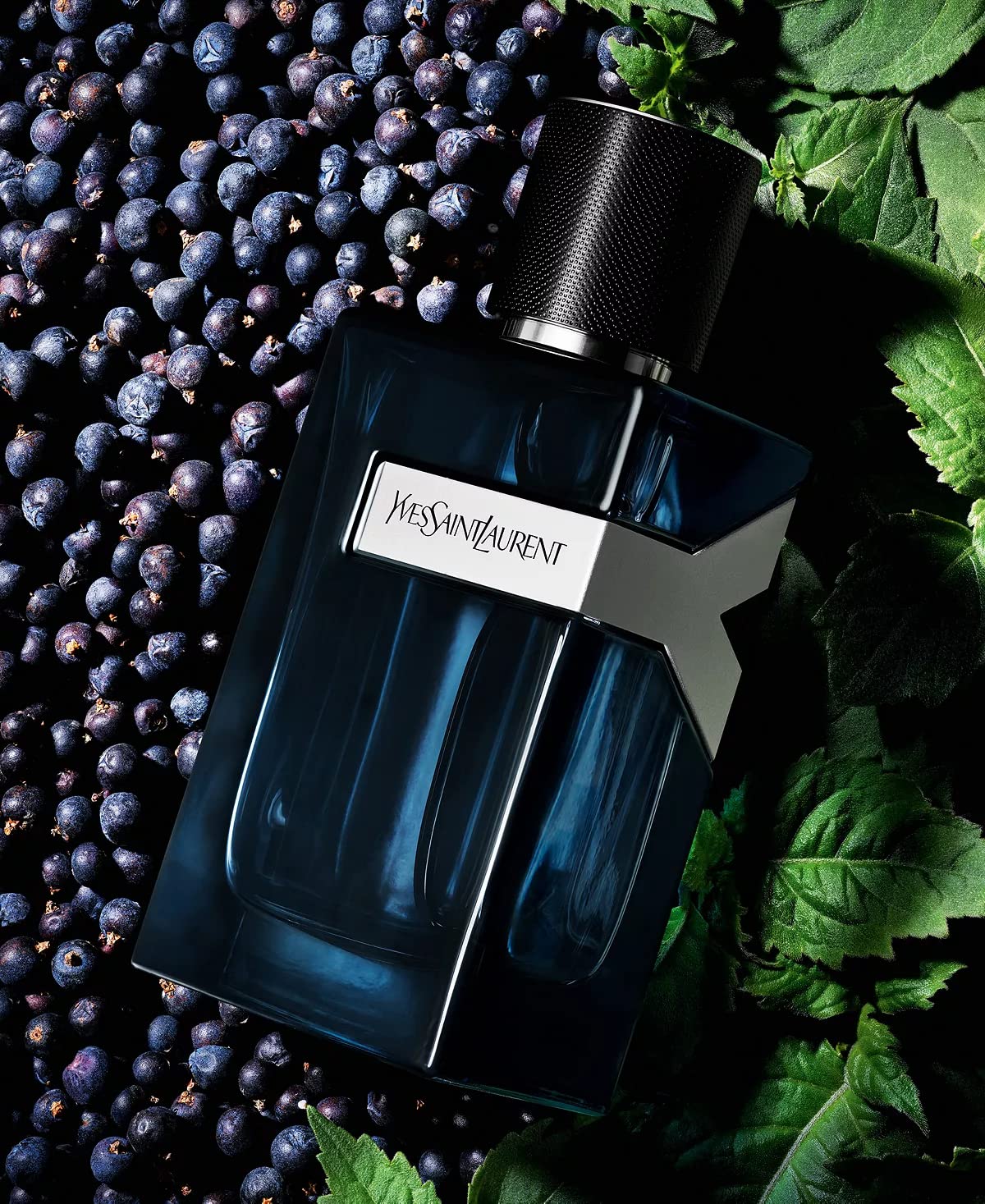 Yves Saint Laurent Y Intense packaging box emphasizes premium appeal.