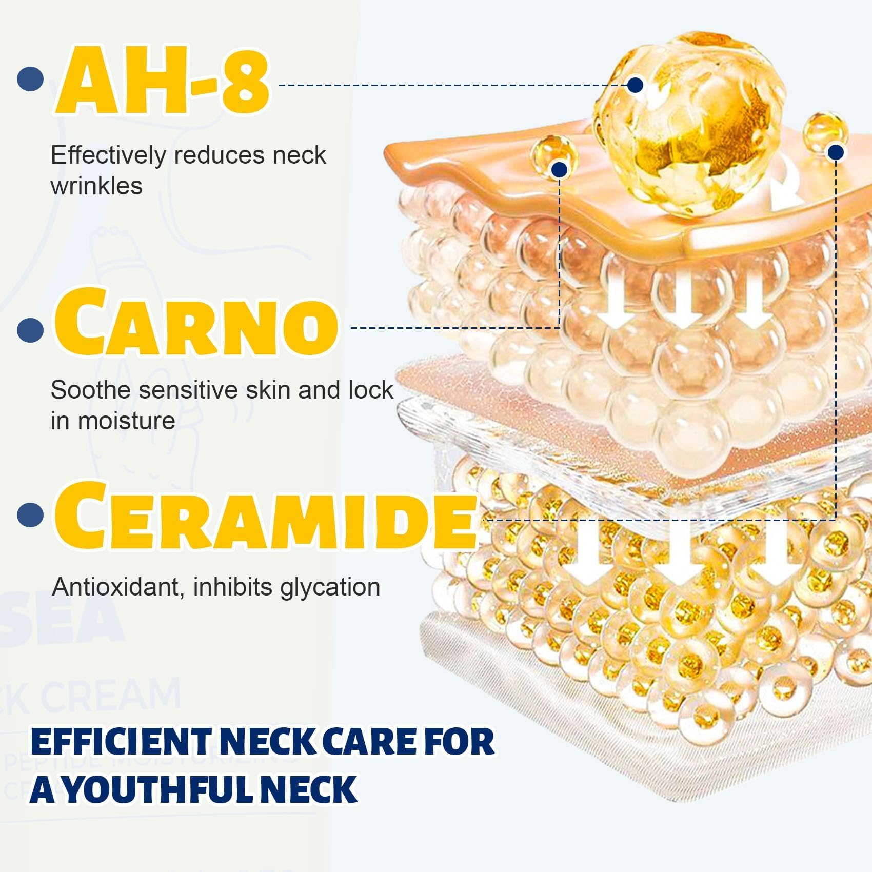 Z：SEA peptide and collagen neck care boosts elasticity and reduces laxity appearance.