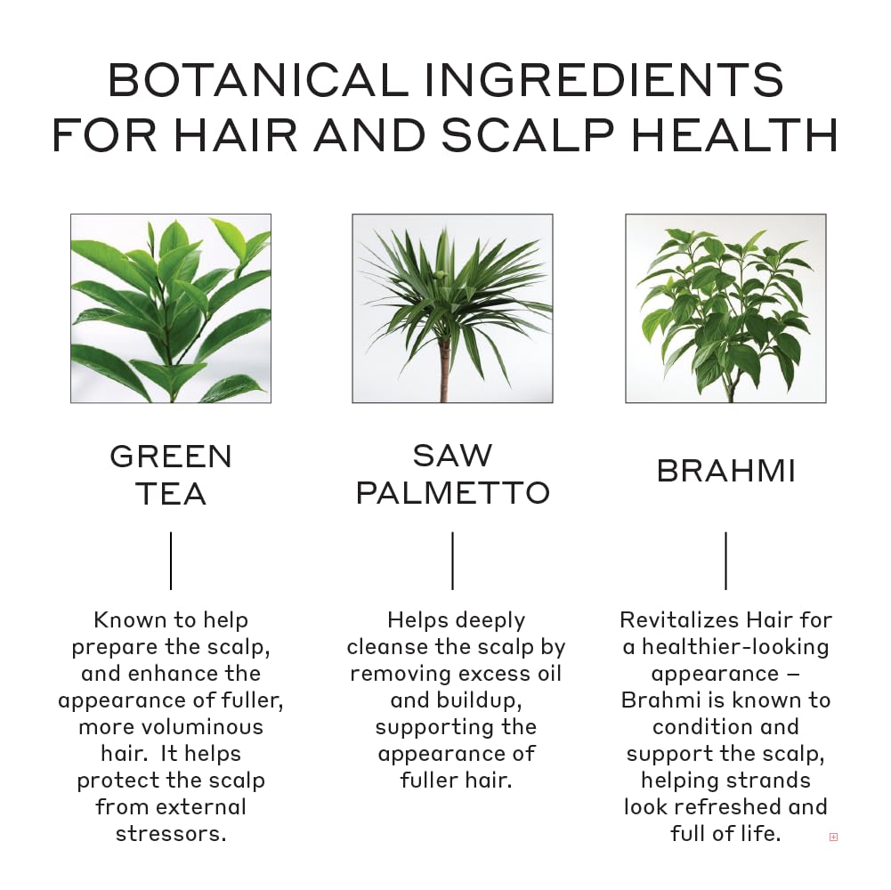 Zenagen Revolve label close-up highlighting plant-based ingredients for healthier-looking hair