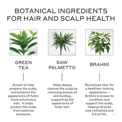 Zenagen Revolve scalp-massage action supports comfortable cleansing and scalp health