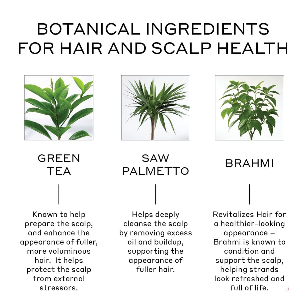 Zenagen Revolve ingredients panel highlights natural actives for gentle hair care.