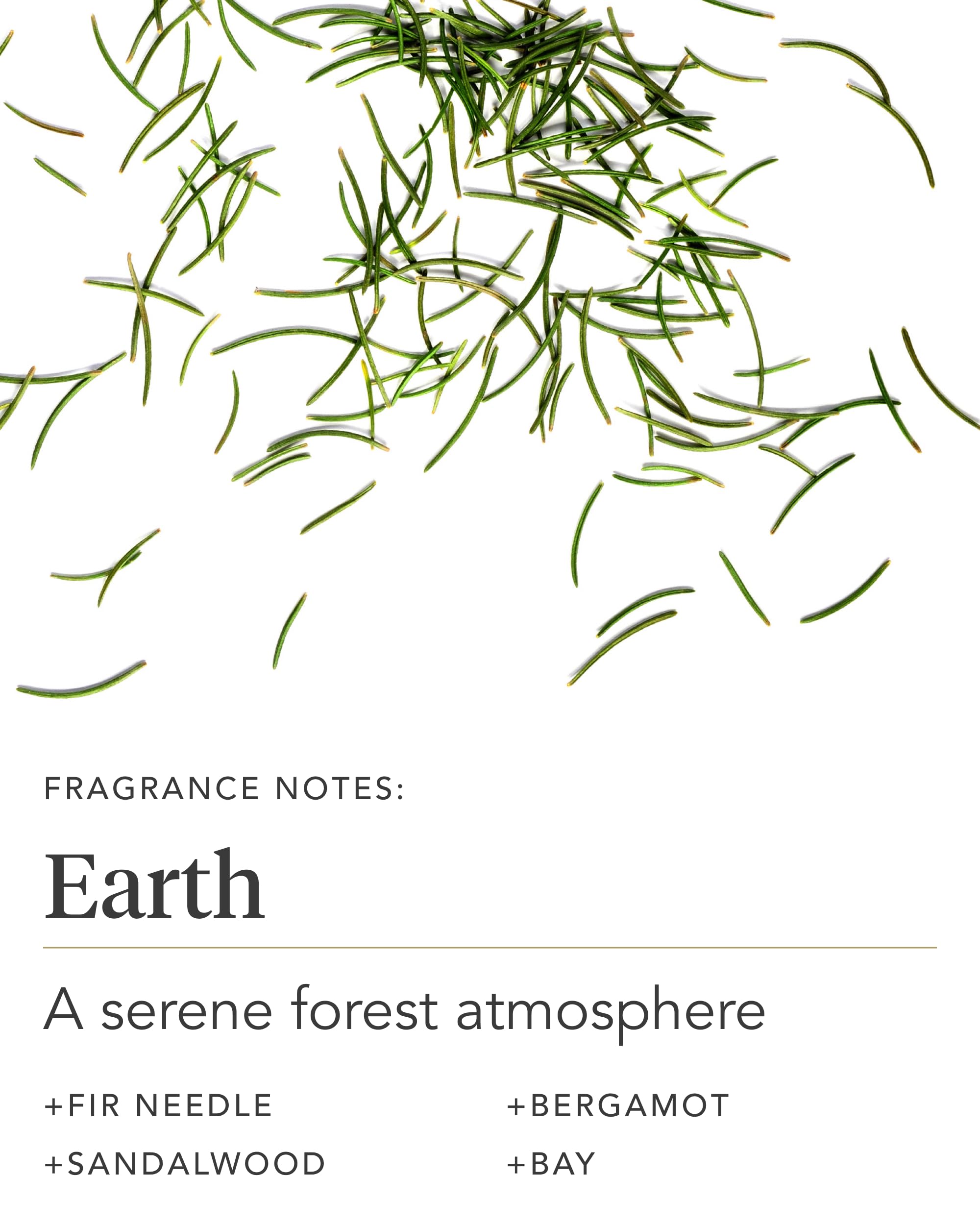 Zents Age-Defying Probiotic Body & Hand Lotion Earth forest-inspired fragrance notes for calm routine.