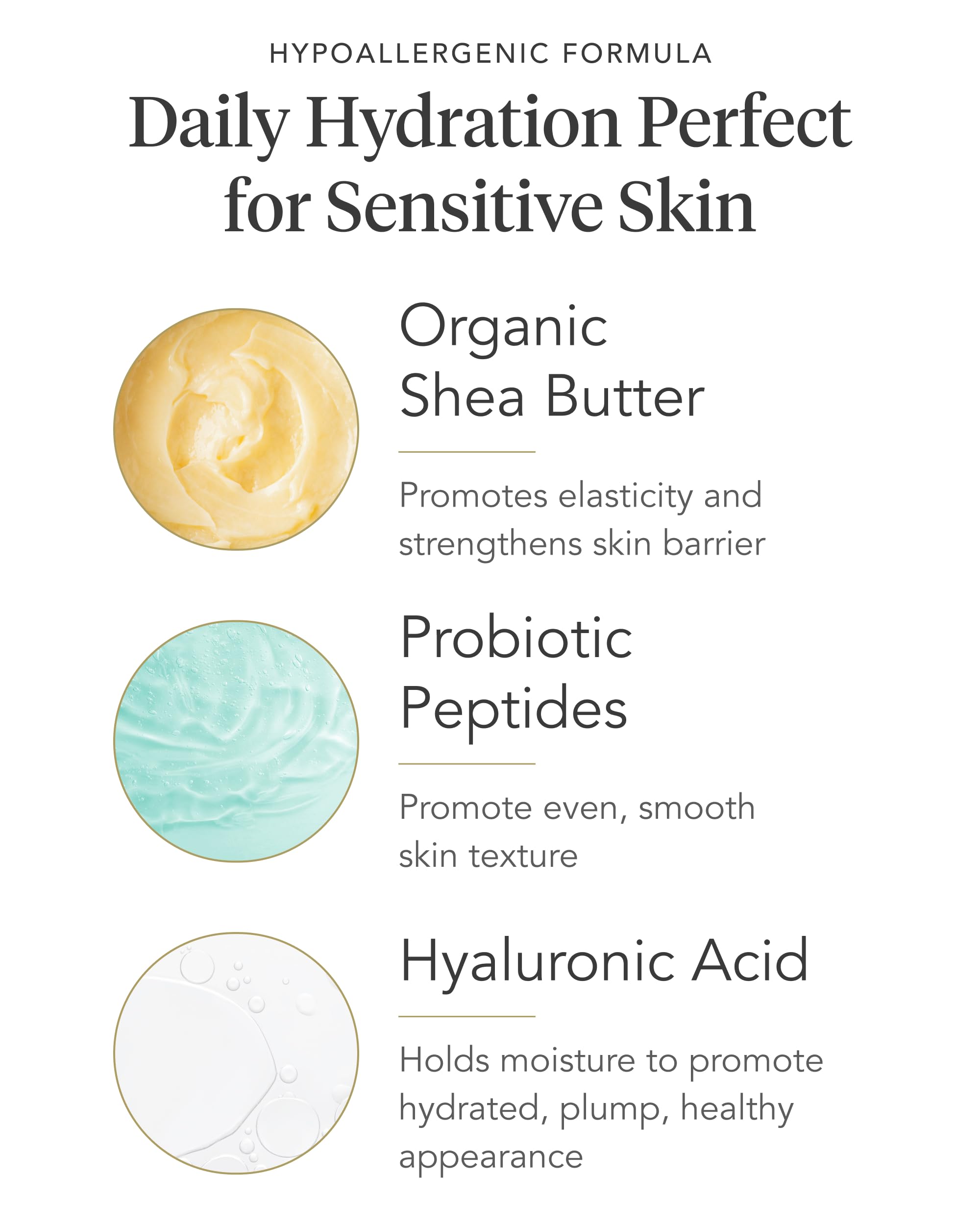 Zents Age-Defying Probiotic Body & Hand Lotion Earth rich shea butter close-up for deep hydration.