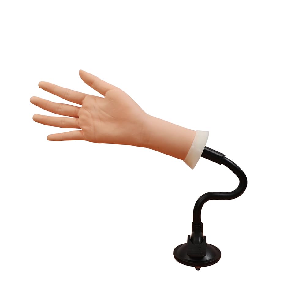 ZhuoYi easy-assembly practice hand makes setup quick for lessons or solo practice