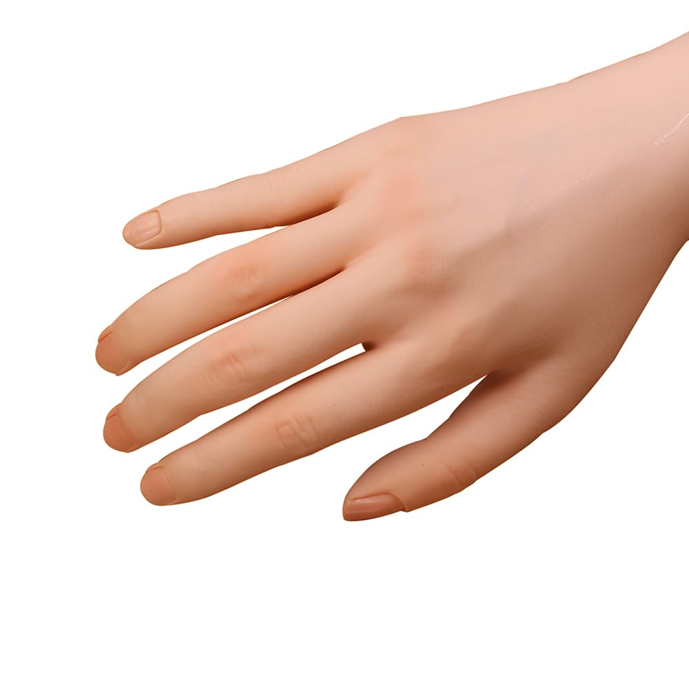 ZhuoYi bundle includes hand and holder for versatile practice setups