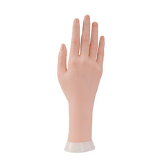 ZhuoYi holder base keeps the hand steady on a desk during demonstrations